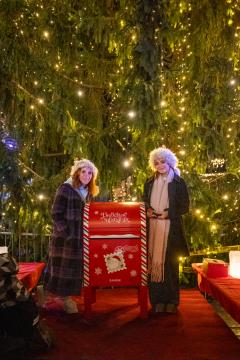 V Kamniku zasijale novoletne lučke (16)